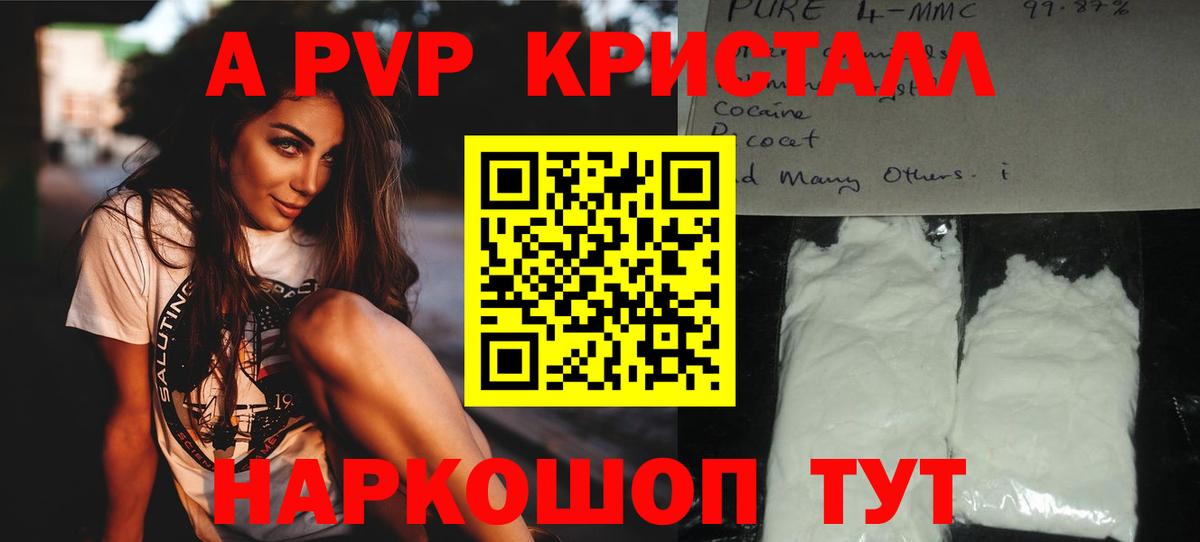Alfa_PVP крисы CK Грозный