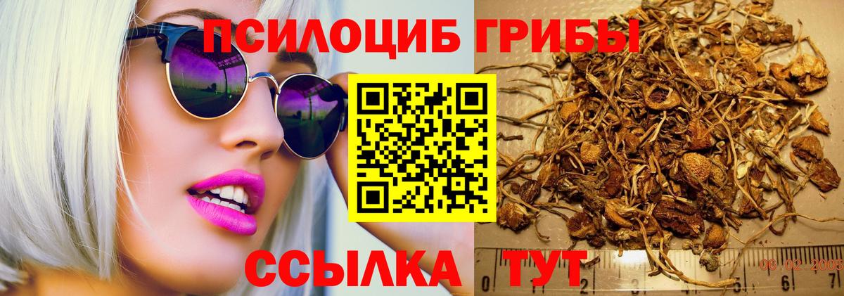 Псилоцибиновые грибы Psilocybine cubensis  Вход с VPN  Грозный  как найти наркотики  Галлюциногенные грибы Magic Shrooms 